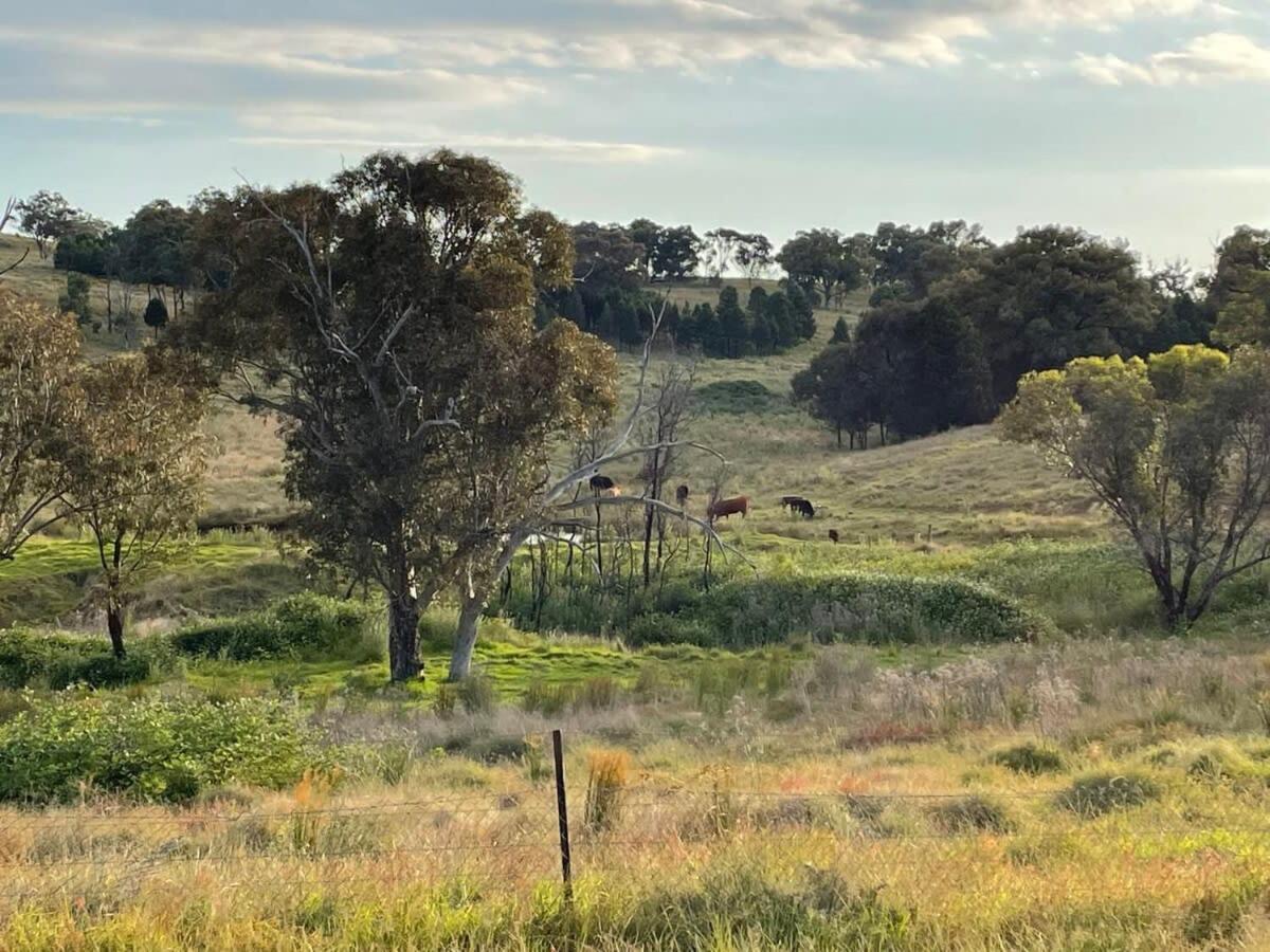 Little Argyle Tiny House By Tiny Away Holiday home Coonabarabran