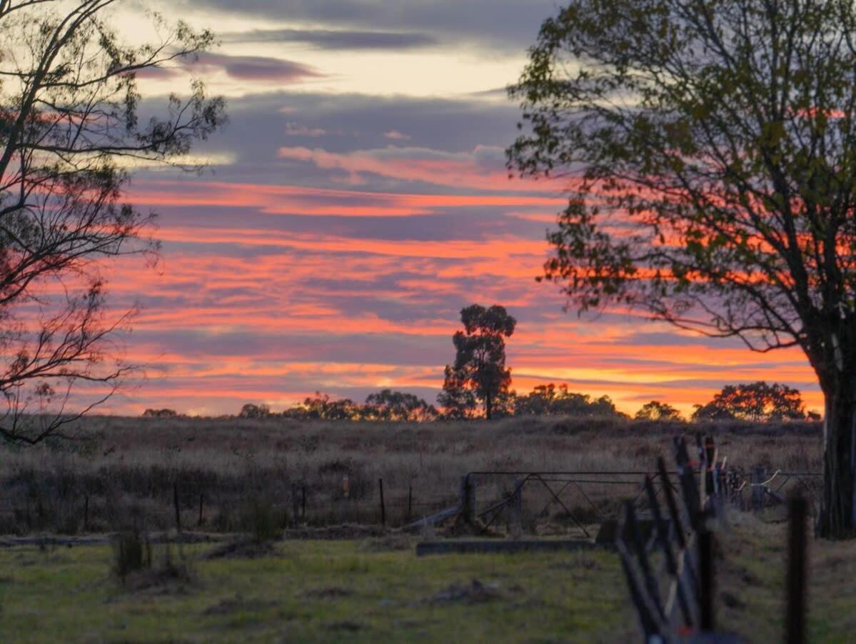 Little Argyle Tiny House By Tiny Away Coonabarabran